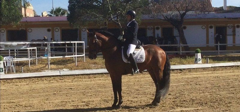 caballo pre seron premiado en jerez de la frontera