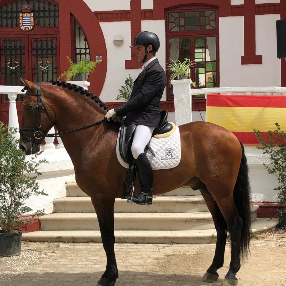 Serón, doble campeón en Doma Clásica en Jerez de la Frontera